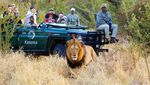 Foto: 10 Negara Terfavorit Traveler, Indonesia Juaranya