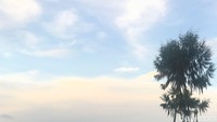 Daerah ini sudah masuk wilayah Rantepao, setelah kota Makale. Saat di hitung, bukit ini berada di puncak ketinggian 1.200 meter dari permukaan laut, atau berjarak 6 kilometer dengan jalan berkelok-kelok dari Sapean (Muhammad Taufiqqurahman/detikTravel)