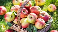 Apel berkerja untuk mengurangi tekanan darah tinggi. Apel memiliki serat yang bagus untuk menurunkan tekanan darah dan dianggap sebagai pencegah hipertensi yang efektif. Foto: iStock