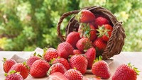 Strawberry bisa dijadikan camilan sehat. Kandungan resveratol dalam buah ini, terbukti efektif mencegah hipertensi dan pembesaran otot jantung yang berbahaya. Foto: iStock