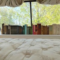 Terdapat perpustakaan kecil di sepanjang area belakang tempat tidur. Foto: Dok. Bored Panda