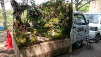 Taman mungil ini seperti berasal dari negeri dongeng dan buku cerita anak. Istimewa/Boredpanda.