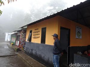 Pasca Kebakaran Hutan, Jalur Pendakian Gunung Lawu Kembali Dibuka