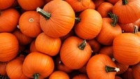 Siapa yang masih ragu soal labu parang? Tanaman berwarna kuning cerah ini juga masuk sebagai buah-buahan. Foto: Istock