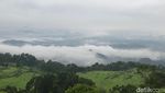 Foto: Melihat Awan dari Dekat di Tana Toraja