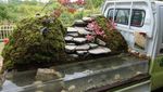 Kompetisi Bikin Taman di Bak Mobil, Siapa Paling Cakep?