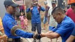 Foto: Ular Sanca 4 Meter Ditangkap Saat Hendak Cari Mangsa