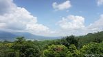 Masih di Semarang? Yuk, Keliling Kebun Kopi dan Cicipi Kopi Lokal Asli Semarang
