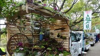 Jepang menggelar kompetisi bikin taman di atas mobil, namanya Kei Truck Garden Contest. Acara ini digagas Japan Federation of Landscape Contractors. Istimewa/Boredpanda.