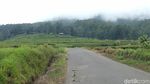 Kamu Harus Tahu, Indahnya Sawah Bertingkat di Sulawesi