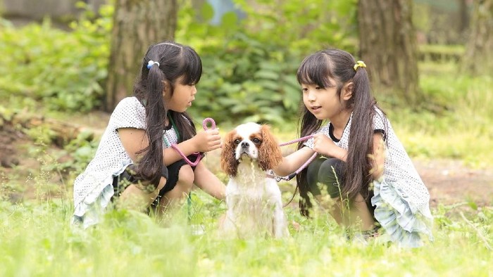 Guk! Guk! Taman Rekreasi Unik di Jepang Menyewakan Anjing
