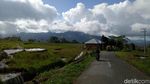 Kamu Harus Tahu, Indahnya Sawah Bertingkat di Sulawesi