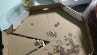 Kotak pizza ini multifungsi. Selain bisa meletakkan pizza yang dibungkus, kotak ini bisa dijadikan alas masing-masing potongan pizza. Genius! Foto: Istimewa