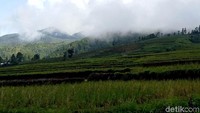 Lokasinya di ketinggian 2.000 kaki di atas permukaan laut. Jadi cocok bagi traveler yang ingin menikmati pemandangan dan berswafoto ria (Ibnu Munsir/detikTravel)