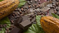 Biji cokelat mengandung antioksidan yang tinggi termasuk epicatechin yang berperan untuk menyeimbangkan gula darah. Pastikan hanya mengonsumsi dark chocolate, bukan milk chocolate yang sudah ditambah gula. Foto: Istock