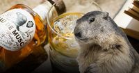 Mau Cicip? Whisky Ini Dibuat dari Minyak Pantat Berang-berang