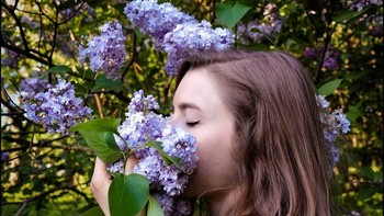 Foto ini diklaim jadi petunjuk keberadaan Snowden, karena bunga Lilac masih mekar di Pegunungan Ural dan Siberia, namun tidak di Moskow. Foto: Instagram/lsjourney