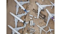 Gambar-gambar yang cantik ini menjadi seri foto terbarunya, yakni Life Cycles (Mike Kelley/CNN Travel)
