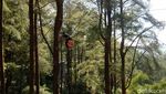 Foto: Sepeda Terbang di Sulawesi Selatan