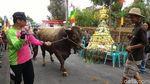 Foto: Tampang Boyolali dalam Aneka Tradisi Seni Budaya