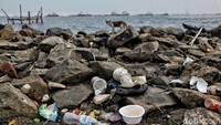 Tak jarang pengunjung yang datang pun memberikan sumbangan sampah dari makanan-makanan yang mereka bawa saat berwisata ke Pantai Marunda.