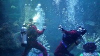 Tak hanya menampilkan ondel-ondel underwater. Para penyelam pun mempertunjukkan aksi teatrikal seni beladiri silat khas Betawi di dalam air.