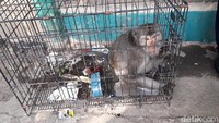 Setiap ada yang jalan langsung diserang, yang melintas ke Perum langsung diserang, kata petugas keamanan Pondok Mitra Lestari, Jatiasih, Dayat saat ditemui, Jumat (22/6/2018).  