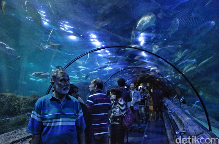 Keindahan kehidupan dasar laut menarik minat warga untuk mengunjungi Seaworld. Tak hanya itu, Seaworld juga menjadi tempat wisata edukasi bagi anak-anak.