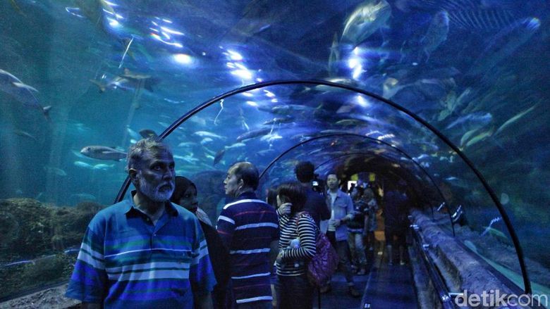 Keindahan kehidupan dasar laut menarik minat warga untuk mengunjungi Seaworld. Tak hanya itu, Seaworld juga menjadi tempat wisata edukasi bagi anak-anak.