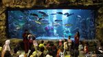 Foto: 8 Wisata Jakarta Anti Hujan Badai, Mana Favoritmu?