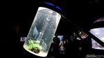 Seaworld Destinasi Wisata Favorit Warga Jakarta