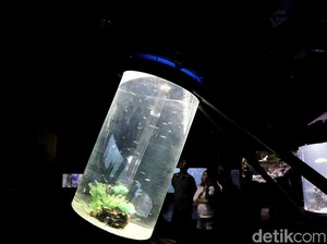Mau Ajak Anak-Anak ke Wisata Edukasi di Jakarta? Ini Rekomendasinya