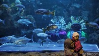 Tak sedikit pula yang ingin mengabadikan foto di depan akuarium yang berisikan ondel-ondel tersebut.