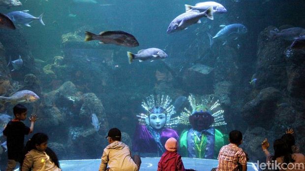 Tepat tanggal 22 Juni DKI Jakarta rayakan hari jadi ke-491. Tempat wisata Seaworld punya cara unik rayakan HUT DKI Jakarta.