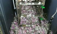 Penampakan Rp 249 Juta yang Dikunyah Tikus dalam ATM di India