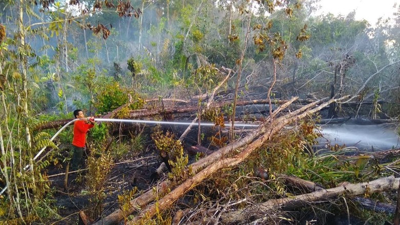 Cegah Kebakaran Hutan Jelang Kemarau, KLHK Lakukan Pemadaman Awal Cegah Kebakaran Hutan Jelang Kemarau, KLHK Lakukan Pemadaman Awal