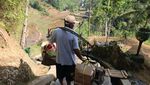 Foto: Asri dan Damainya Kampung Naga Jawa Barat