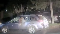 Setelah kaca jendela mobil berhasil dipecahkan, beruang tersebut pelan-pelan mulai keluar (Foto: Dok. Facebook Placer County Sheriff)
