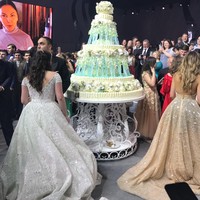 Ia juga pernah mengaku syok ketika pertama kali naik pesawat karena sebelumnya selalu naik jet pribadi. Foto: Instagram