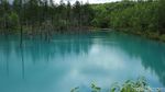 Foto: Inikah Kolam Biru Alami Paling Cantik di Jepang?