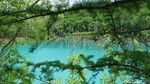 Foto: Inikah Kolam Biru Alami Paling Cantik di Jepang?