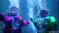 Hari ini, Jumat (22/6) DKI Jakarta tepat berulang tahun ke-491. Perayaan ulang tahun DKI Jakarta menghadirkan pertunjukan ondel-ondel underwater di Seaworld Ancol, Jakarta Utara.