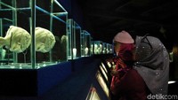 Tak hanya menyediakan berbagai macam akuarium raksasa berisikan hewan laut, Seaworld juga menyediakan ruangan yang berisikan biota laut yang dipajang beserta keterangan biota laut tersebut sebagai media belajar bagi para pengunjung.