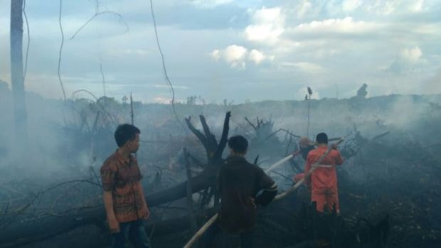 Cegah Kebakaran Hutan Jelang Kemarau, KLHK Lakukan Pemadaman Awal