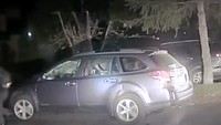 Beruang tersebut masuk ke dalam mobil yang terbuka dan dengan tak sengaja menutup pintunya hingga terkunci (Foto: Dok. Facebook Placer County Sheriff)