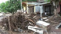 Pohon-pohon terbawa arus saat banjir bandang terjadi/Foto: Ardian Fanani