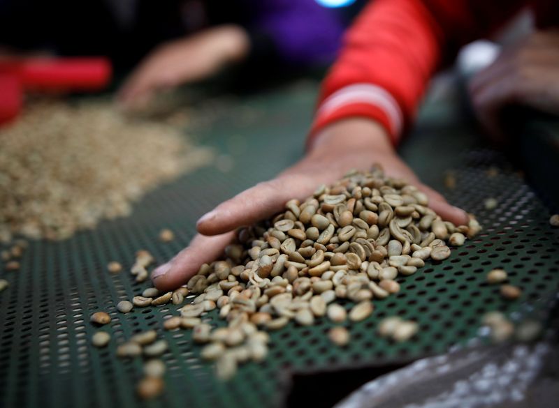 Tak banyak yang tahu daerah Pengalengan di Kabupaten Bandung juga terkenal sebagai daerah penghasil kopi. Tanah di daerah ini cocok untuk bertanam kopi arabika.
