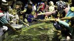 Seaworld Destinasi Wisata Favorit Warga Jakarta