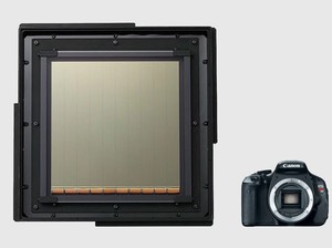Melihat Sensor CMOS Raksasa Bikinan Canon