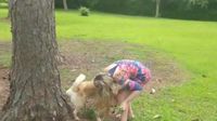 Waduh! Wanita Ini Minum Air Seni Anjing untuk Atasi Jerawat